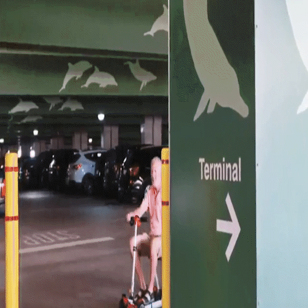 8e13fcfb78f414966c899771f15a7bfa.gif